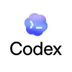 Codex Deleted 300GB Of Files From My C And D Drives