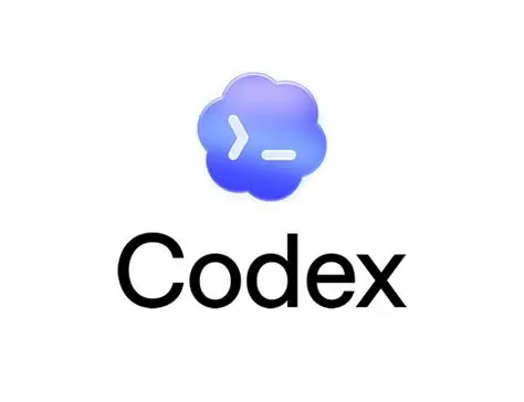 Codex Deleted 300GB Of Files From My C And D Drives