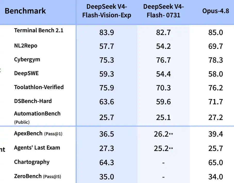 DeepSeek V4 Flash Vision Exp