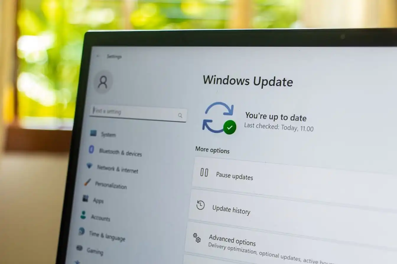 Windows update settings