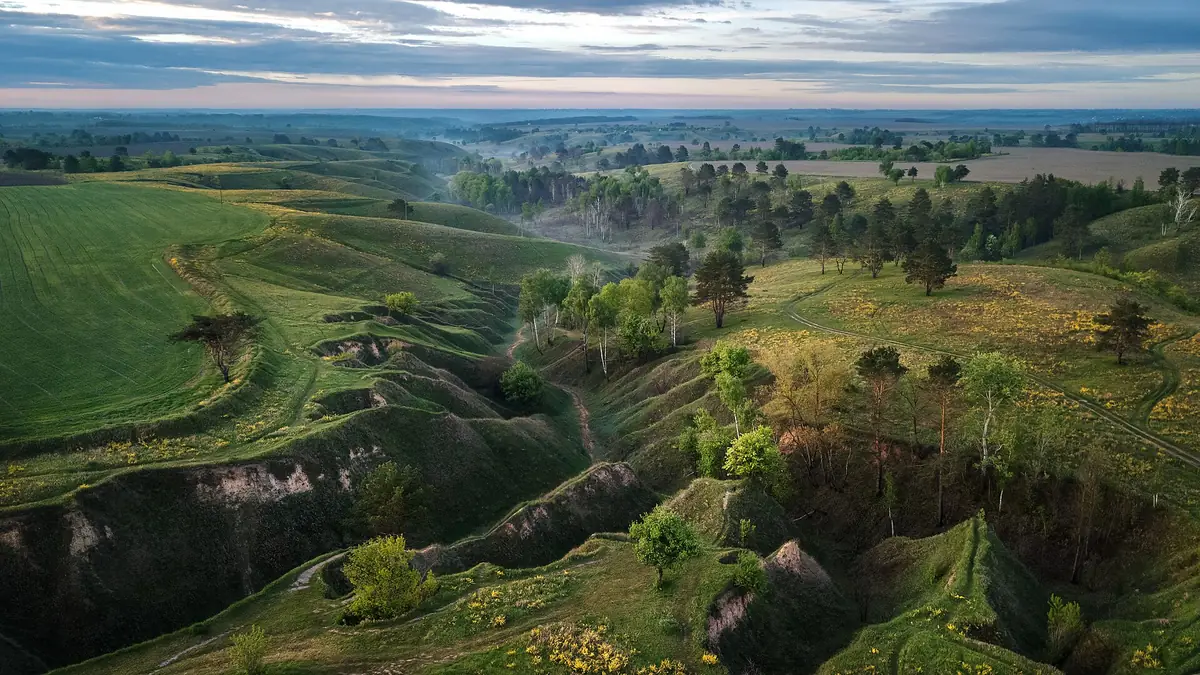 Rolling green hills seen from above